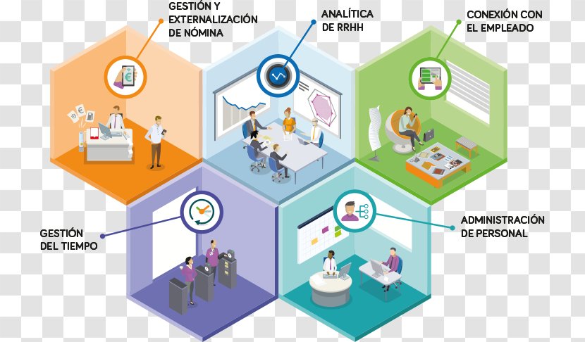 Human Resource Management Payroll Cuestiones Sobre Gestión De Personas: ¿Qué Hacer Para Resolverlas? Business Administration - Recursos Humanos Transparent PNG