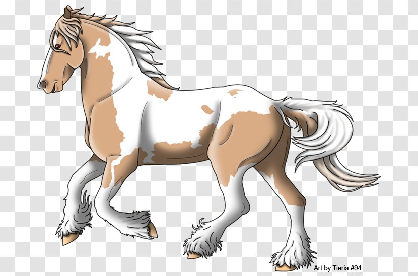 Mane Foal Mustang Stallion Colt - Bridle Transparent PNG