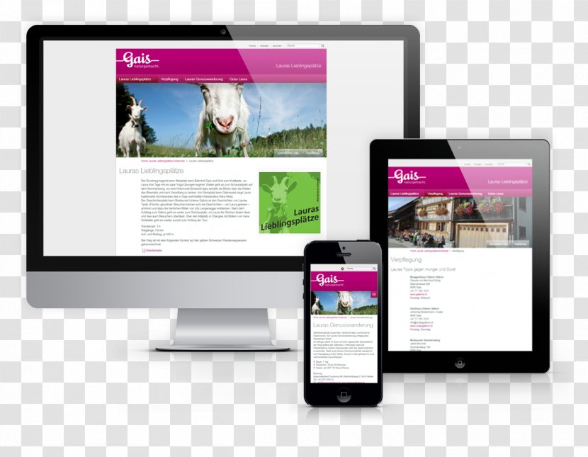 Helbergen Responsive Web Design Leesten - Search Engine Optimization Transparent PNG