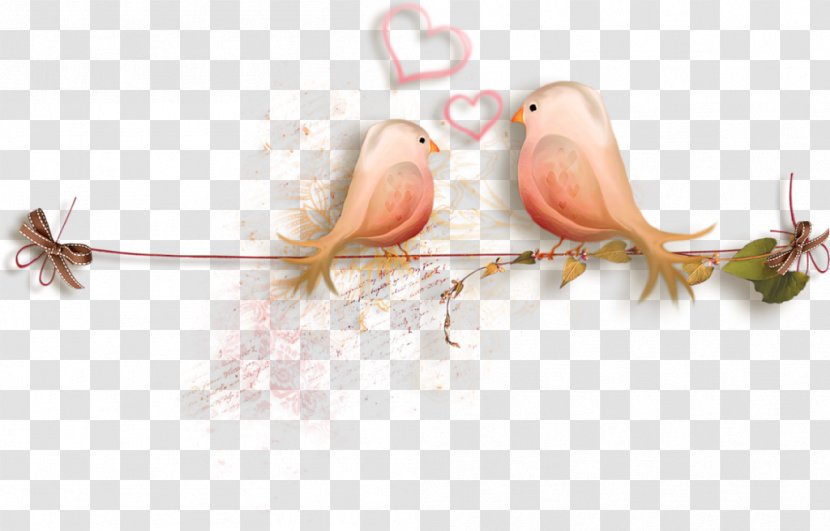 Love - Passion - Amour Transparent PNG