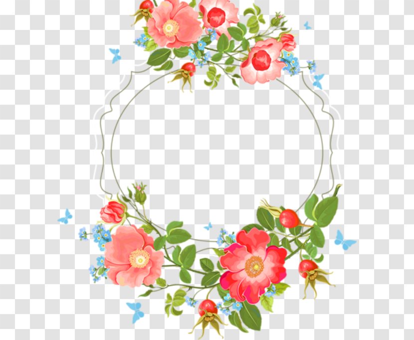 Floral Design Picture Frames Paper Sticker Flower - Flora Transparent PNG