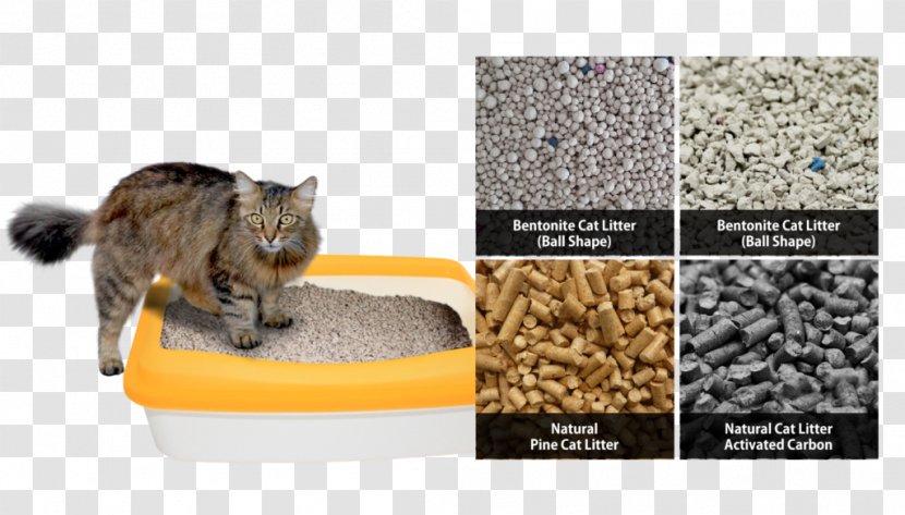 Whiskers Cat Litter Trays Pet Fur Transparent PNG