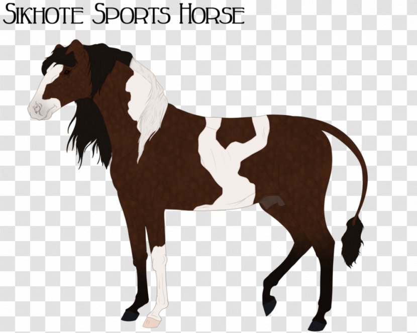 Mustang Foal Stallion Colt Rein - Neck Transparent PNG