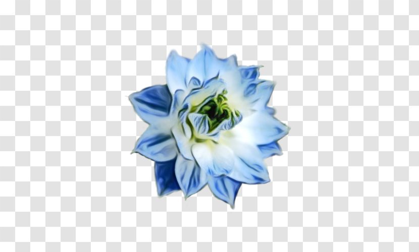 Blue Watercolor Flowers - Floral Vintage - Gentiana Electric Transparent PNG
