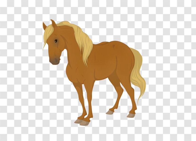 Mane Mustang Equine Coat Color Foal Pony - Horse Tack Transparent PNG