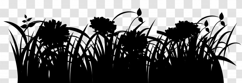 Commodity Silhouette Phragmites Sky - Monochrome Photography - Wildflower Transparent PNG