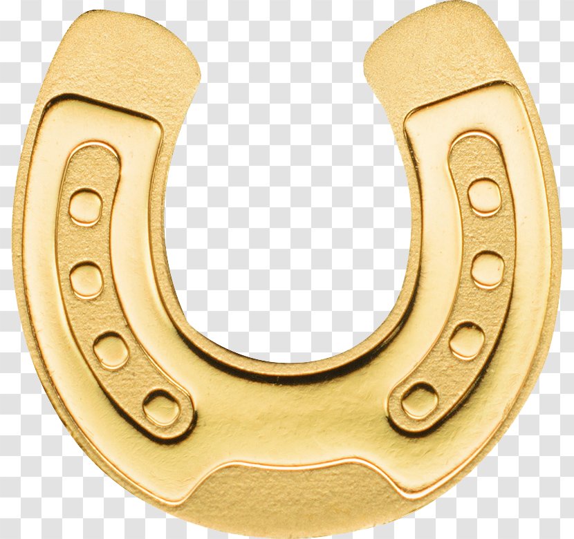 Horseshoe Gold Coin Silver - Colored - Horse Transparent PNG