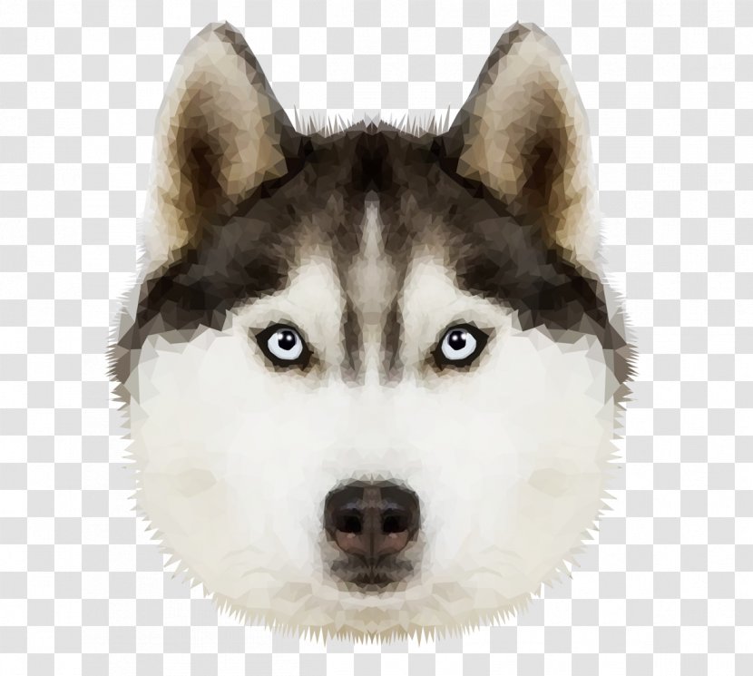 Siberian Husky Alaskan Malamute Klee Kai Canadian Eskimo Dog Transparent PNG