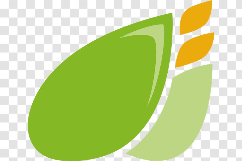 Logo Font - Plant - Design Transparent PNG