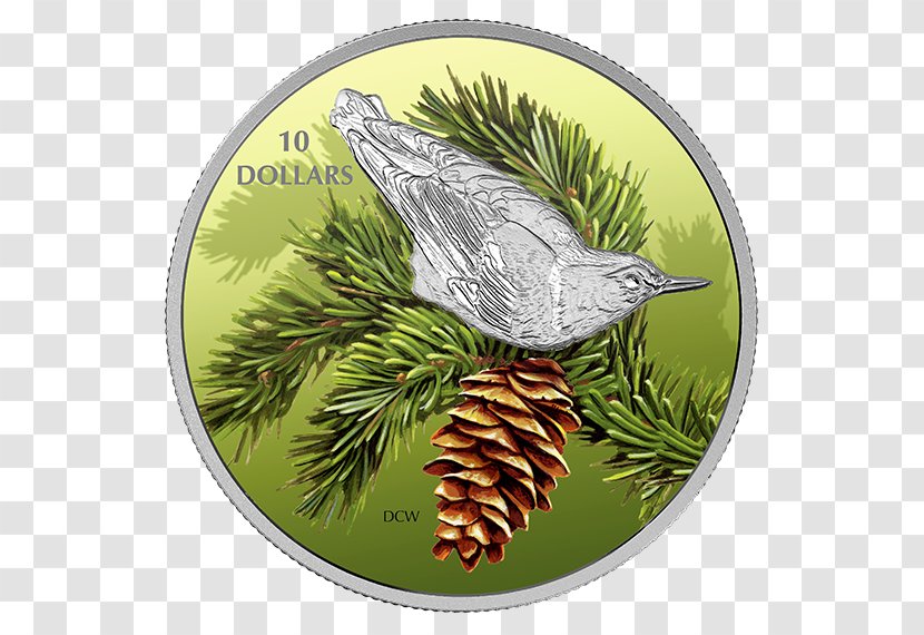 Bird Silver Coin Nuthatch - Fauna Transparent PNG