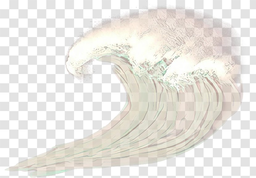 White Wing Transparent PNG