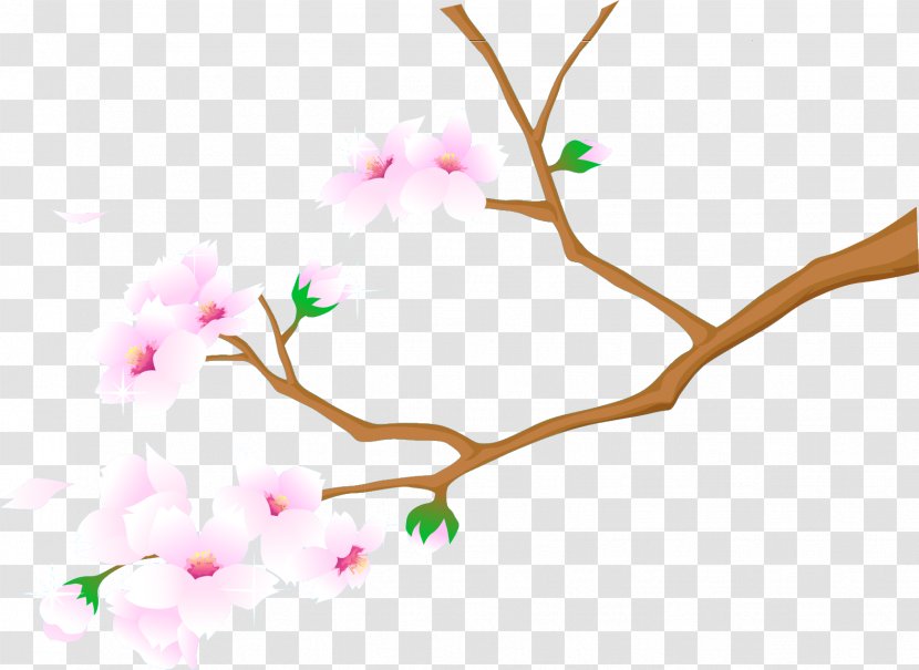 Cherry Blossom University - Twig Transparent PNG