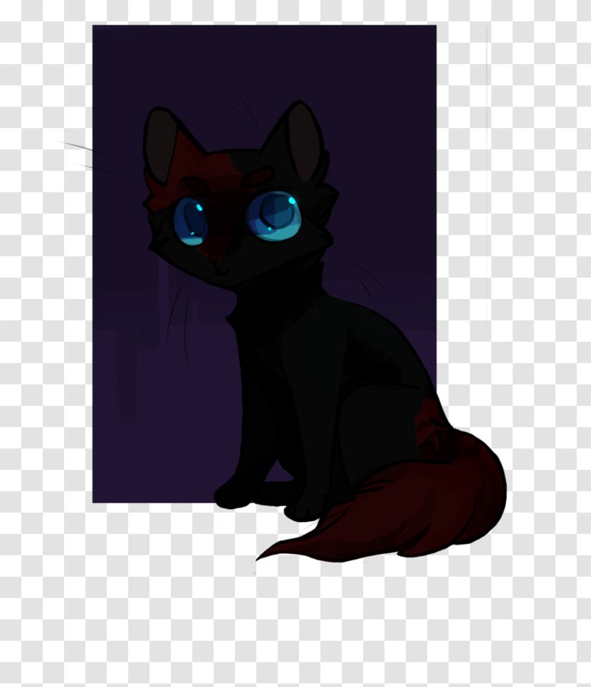 Bombay Cat Korat Black Kitten Whiskers - Small To Medium Sized Cats Transparent PNG