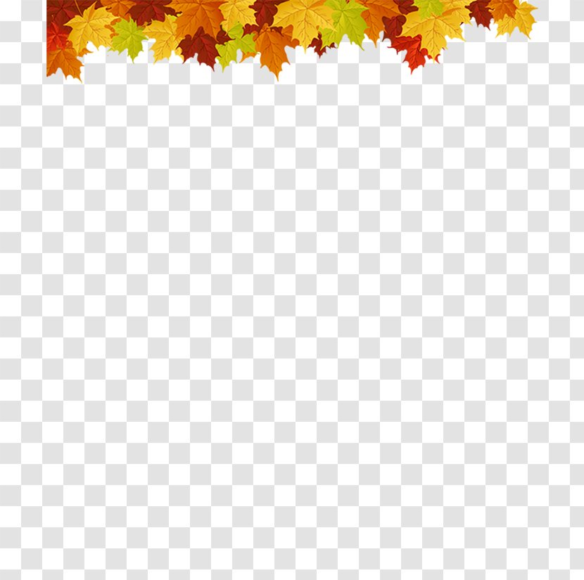 Picture Frames Decoratie Maple Leaf Autumn - Tree Transparent PNG