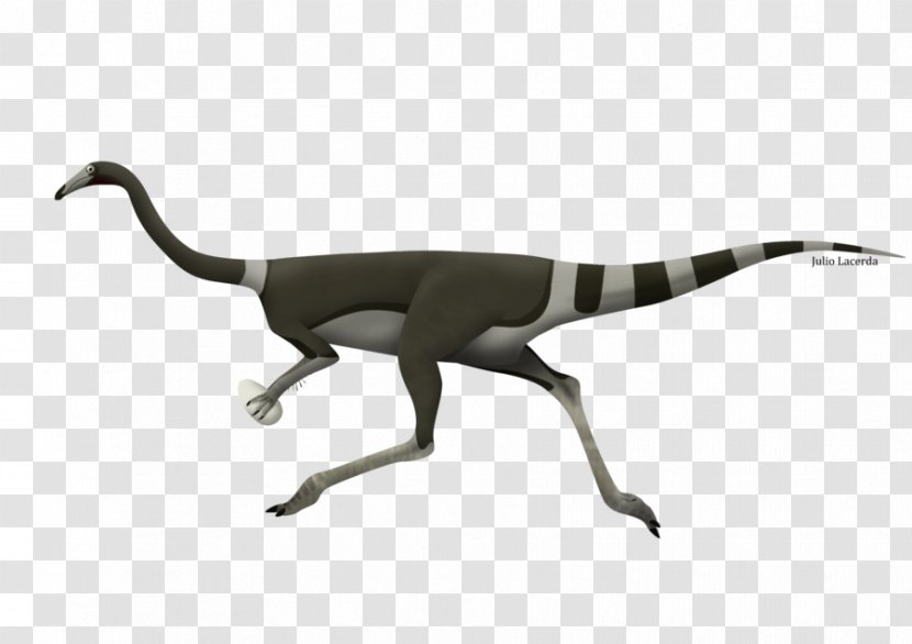 Velociraptor Troodon Albinykus Dinosaur Gallimimus Transparent PNG