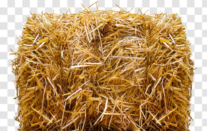 Straw-bale Construction Hay Baler Agriculture - Harvest Transparent PNG