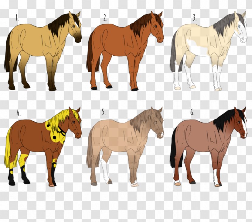 Mustang Pony Stallion Mare Pack Animal - Pre-sale Transparent PNG