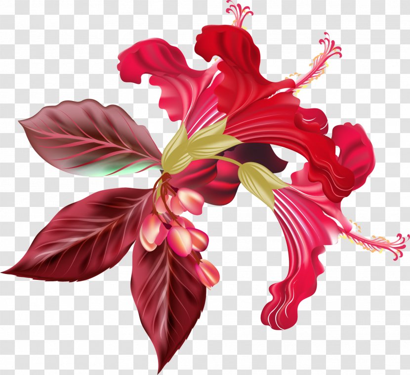 Flower Lilium Stock Illustration - Plant - Red Concise Grass Transparent PNG