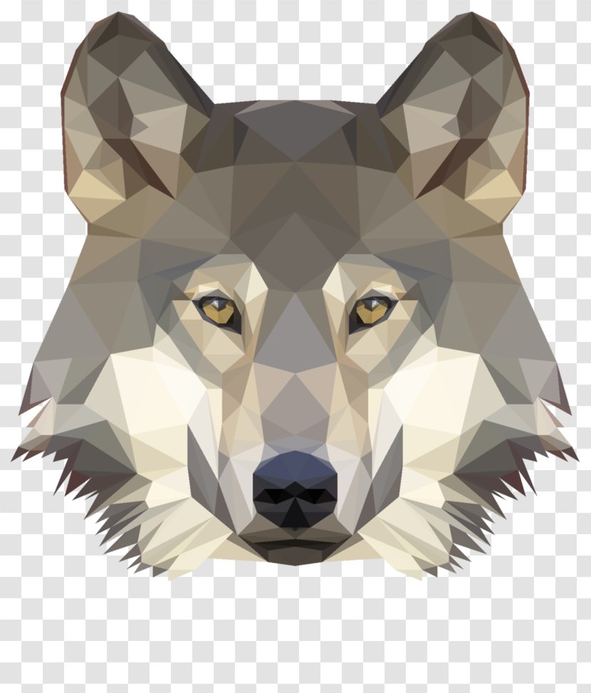Gray Wolf Low Poly Photography Transparent PNG