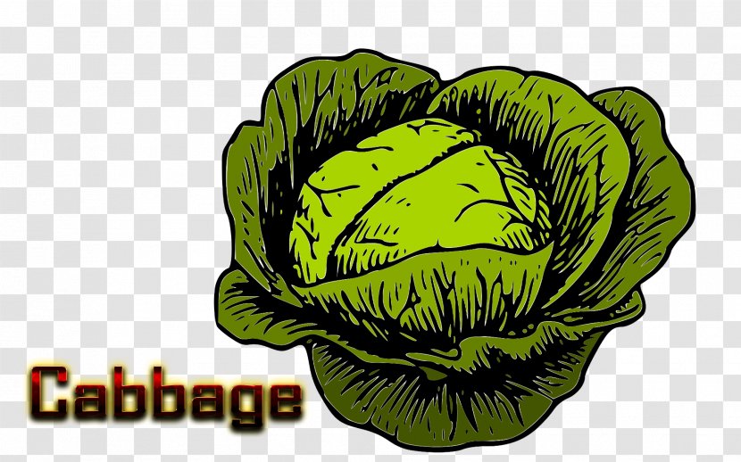Cabbage Roll Malfouf Salad Clip Art Openclipart Transparent PNG