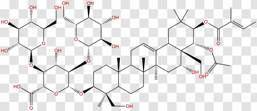 Aescin Biogene Arzneimittel Phytochemical Phytochemistry Antioxidant - Heart - Phytochemicals Transparent PNG