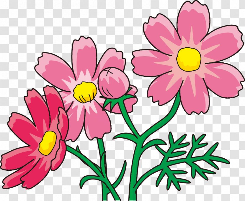 Floral Design Garden Cosmos Cut Flowers Plant Stem - Pink Transparent PNG