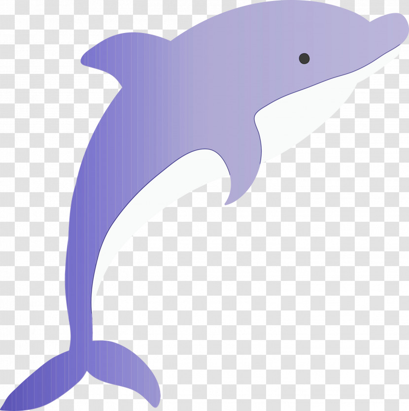 Dolphin Bottlenose Dolphin Cetacea Fin Animal Figure Transparent PNG