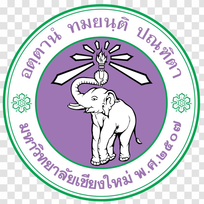 Chiang Mai University Sirindhorn International Institute Of Technology Master's Degree Higher Education - Silhouette - School Medicine Transparent PNG