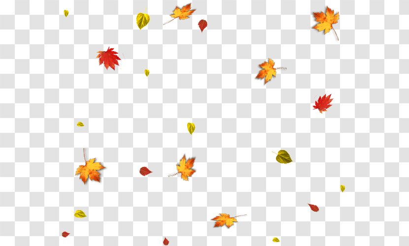 Autumn Leaf Clip Art - Flower - Leaves Falling Transparent PNG