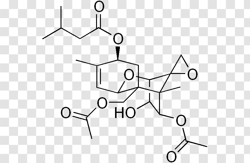 Yellow Rain T-2 Mycotoxin Trichothecene - Flower - Tree Transparent PNG