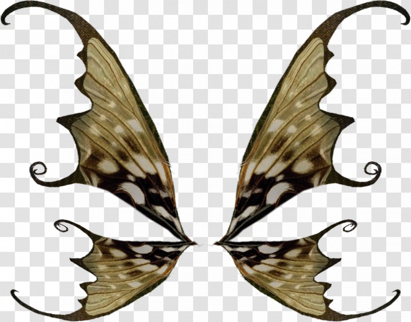Bird Butterflies And Moths Fairy Clip Art - Digital Image - Insect Transparent PNG