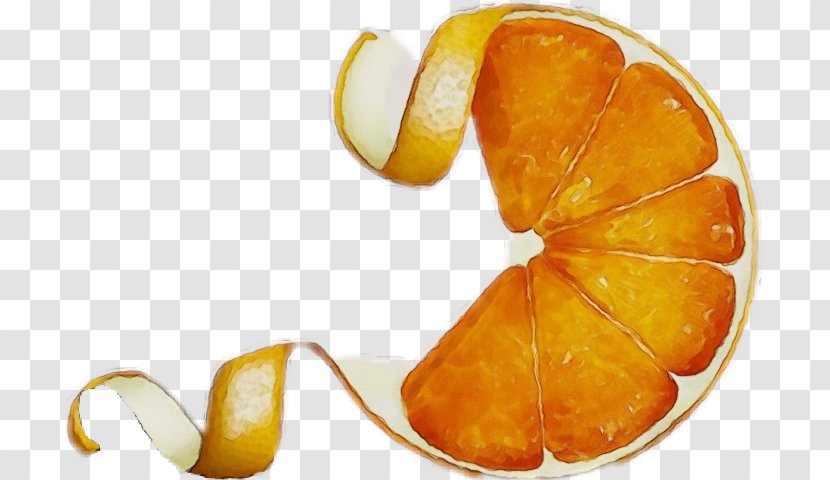 Orange - Food - Tangerine Plant Transparent PNG