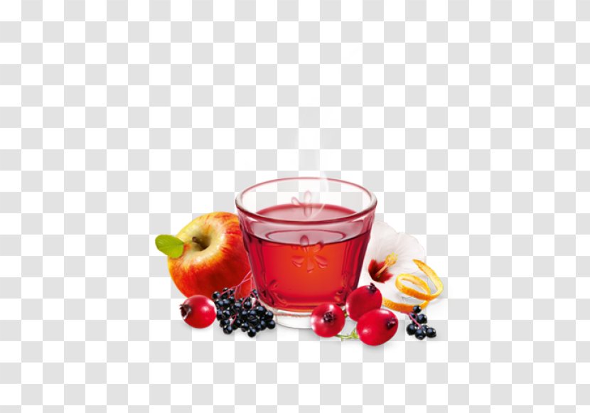 Blueberry Tea Punch Fruit Meßmer - Frutti Di Bosco Transparent PNG
