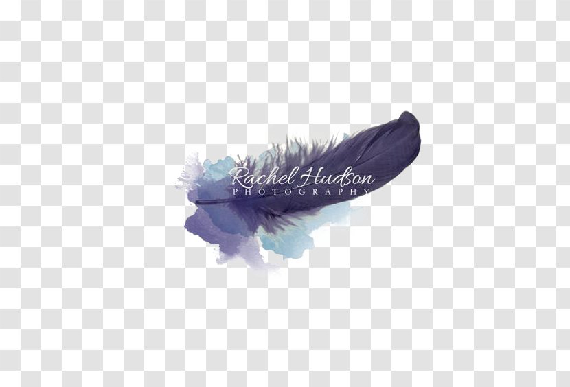 Logo Feather Photography Idea Photographer - Blue Feathers Free Button Elements Transparent PNG