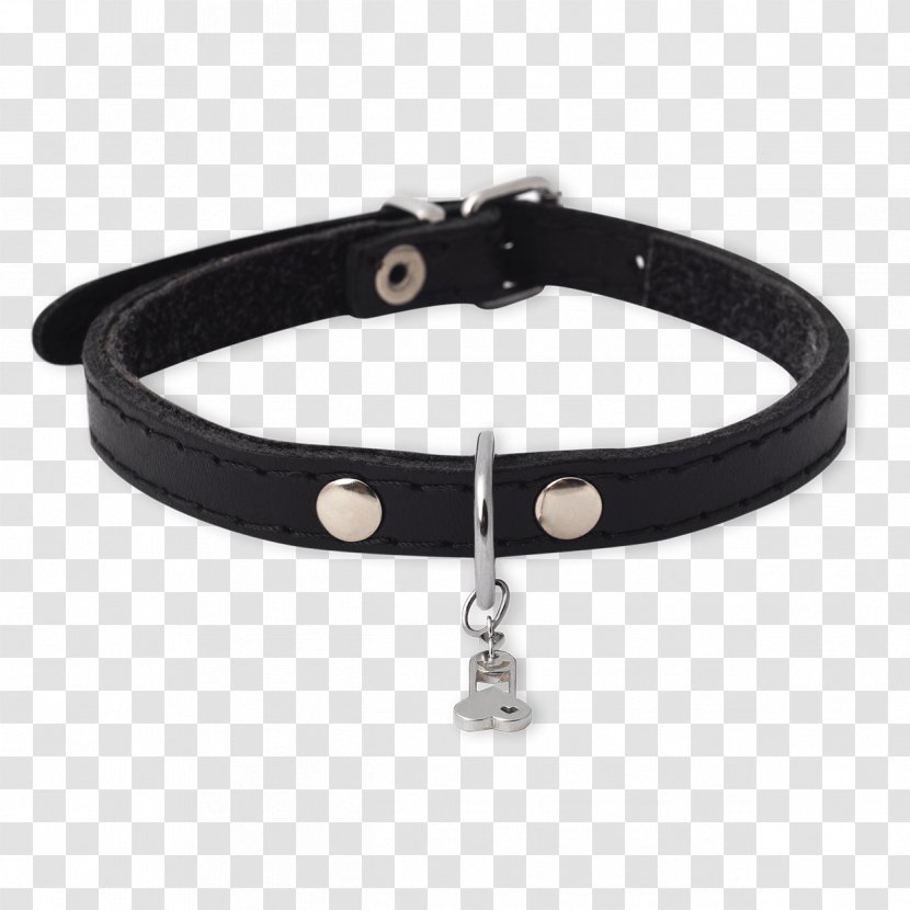 Dog Collar Bracelet Belt Transparent PNG