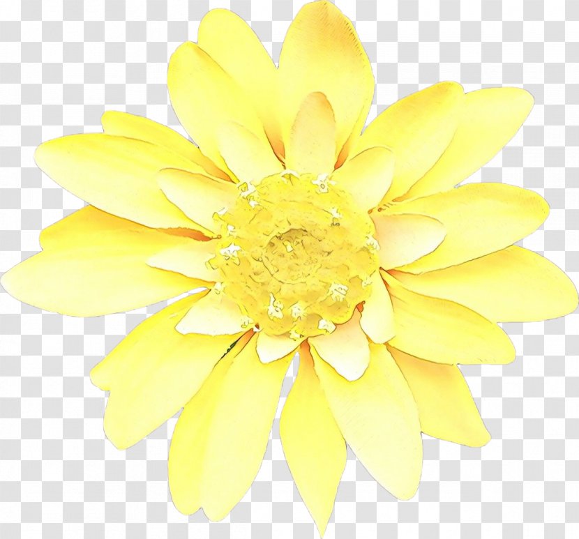 Chrysanthemum Cut Flowers - Flower - Flowering Plant Transparent PNG