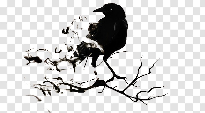 Common Raven The Illustration - Bird - Halloween Picture Elements Transparent PNG
