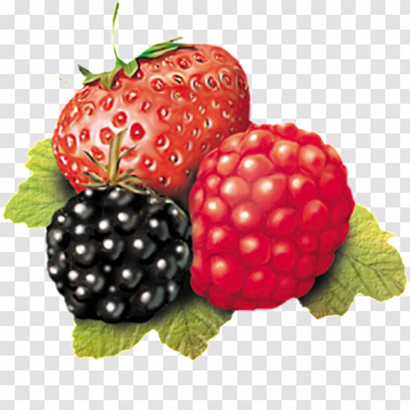 Strawberry Image Fruit Blackberry - Gratis - Morus Bassanus Transparent PNG