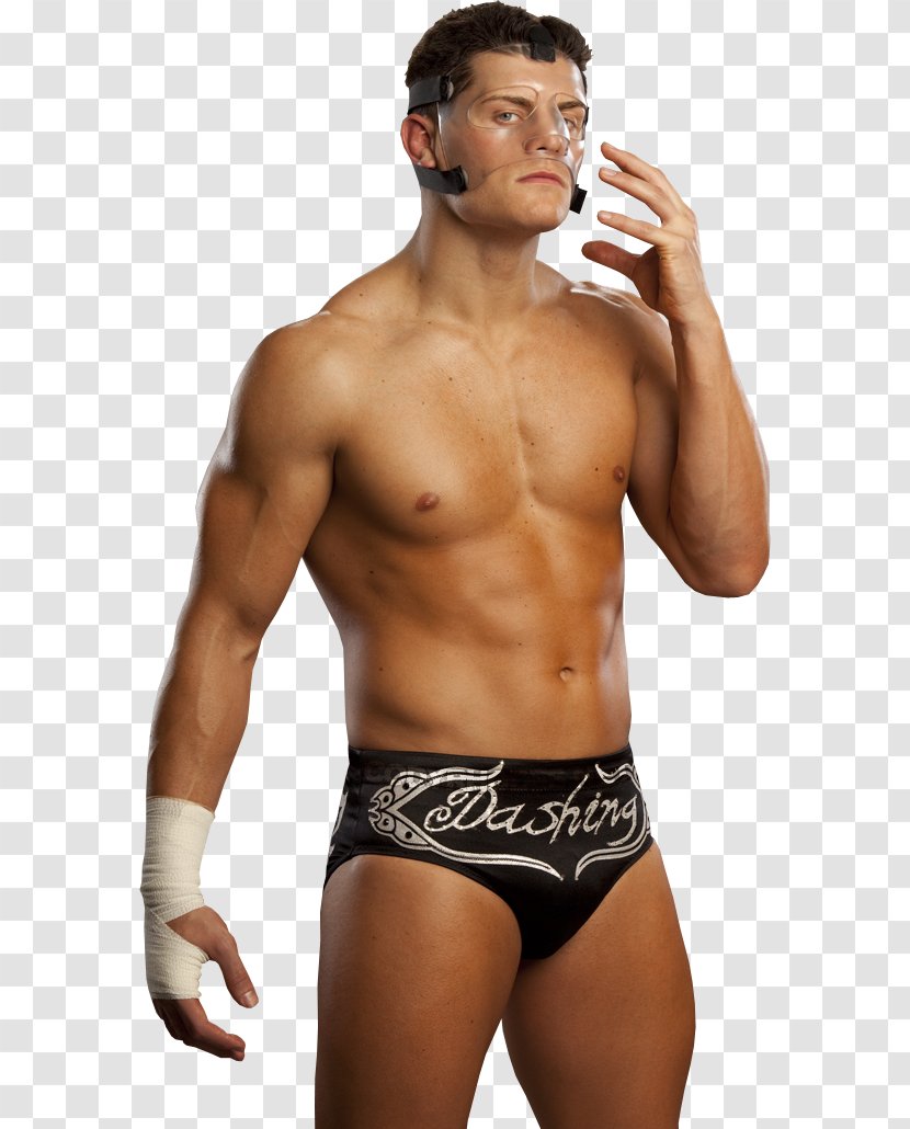 Cody Rhodes Professional Wrestling Impact Dolph Ziggler Fandango - Cartoon - Flower Transparent PNG