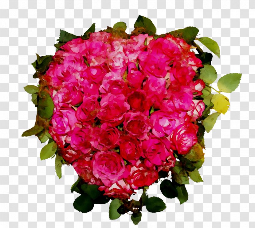 Garden Roses Cabbage Rose Floribunda Floral Design Cut Flowers - Perennial Plant - Camellia Transparent PNG