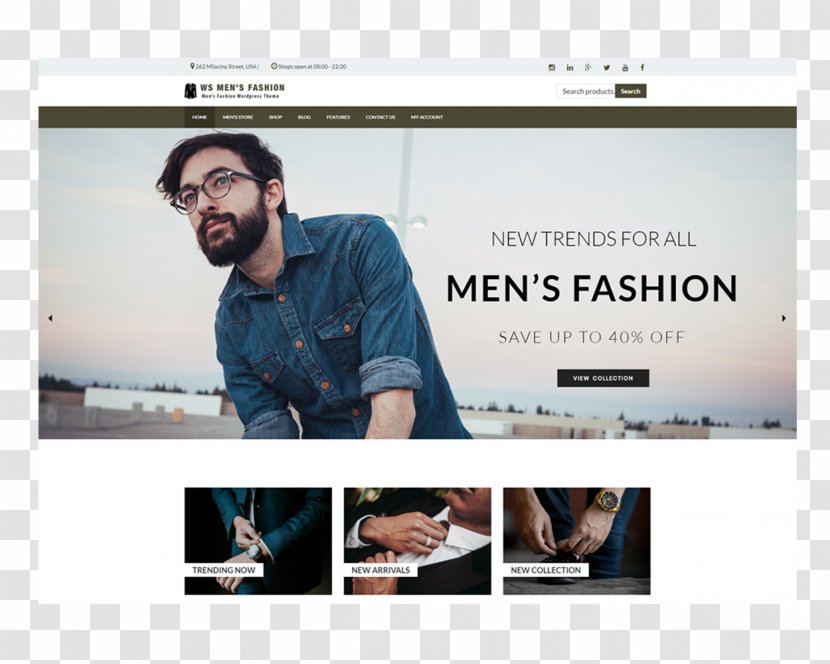 Responsive Web Design Fashion WooCommerce E-commerce Theme - Advertising - Boutique Transparent PNG
