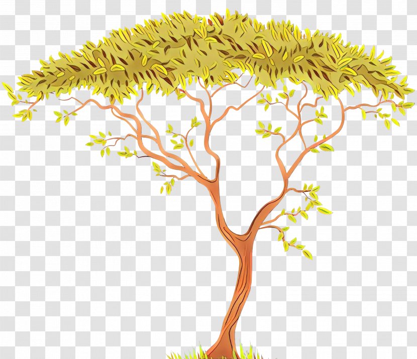 Vector Graphics Clip Art Drawing Royalty-free Illustration - Branch - Plant Transparent PNG
