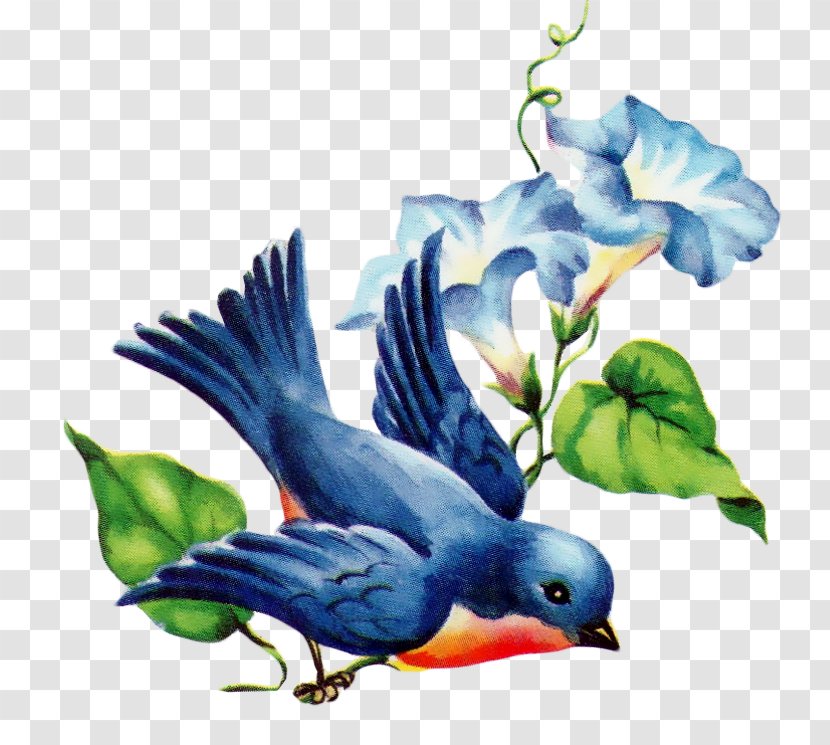 Eastern Bluebird Swallow Of Happiness Clip Art - Fauna - Bird Transparent PNG