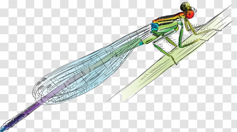 Drawing Damselfly Illustration - Silhouette - Cartoon Dragonfly Material Transparent PNG