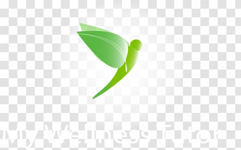 Leaf Logo Desktop Wallpaper Transparent PNG