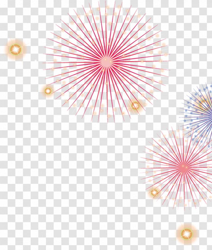 Light Fireworks Cartoon Clip Art - Flower - Effect Transparent PNG