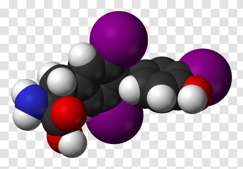 Thyroxine Thyroid Hormones Triiodothyronine - Blood Transparent PNG