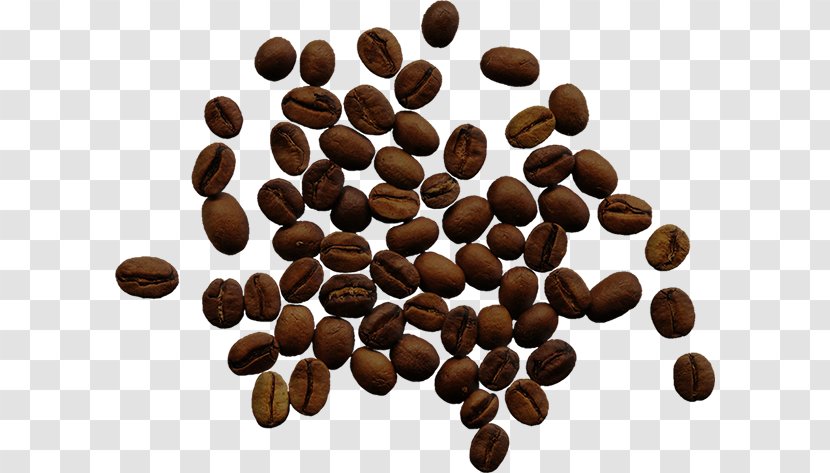 Instant Coffee Cafe Bean Single-origin - Seed Transparent PNG