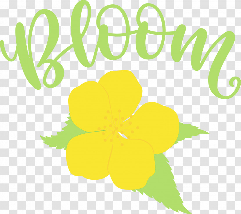 Flower Logo Petal Green Leaf Transparent PNG