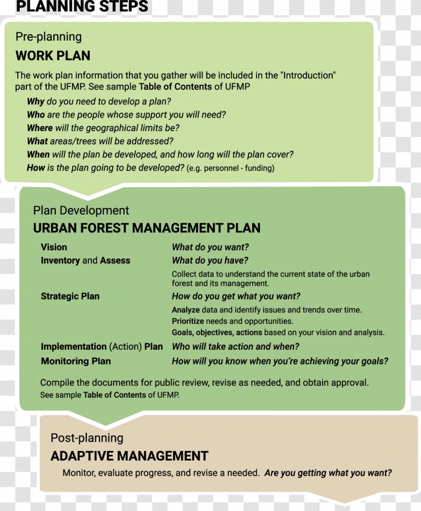 Planning Forest Management - Tutorial Transparent PNG
